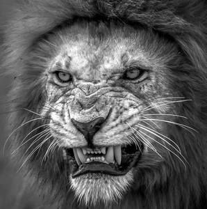 Meet your Posher, Paul